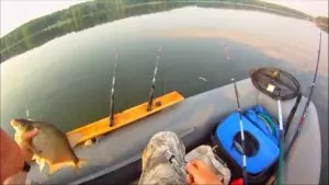 Ловля на фидер с лодки на озере видео