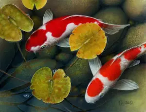 Китайская рыба фото