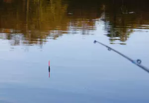 Ловим рыбу на поплавок видео