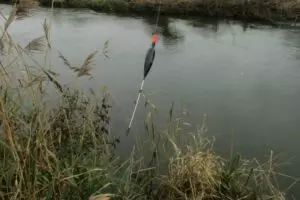 Ловим рыбу на поплавок видео
