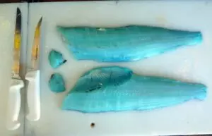 Рыба с голубым мясом