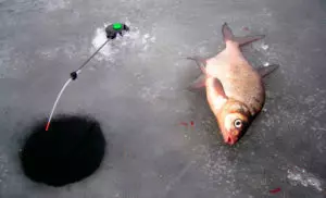 Зимняя рыбалка видео на мормышку на леща