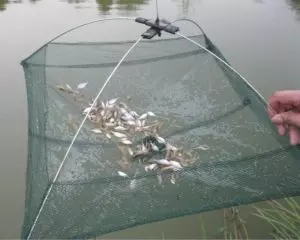 Как называется сетка для ловли рыбы