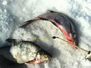 Зимняя рыбалка видео на мормышку на леща