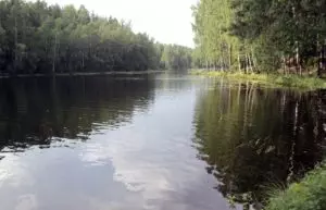 Рыбалка на озере длинное всеволожск