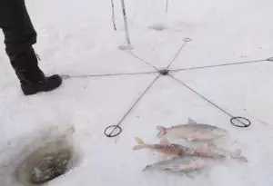 Зимняя рыболовная снасть хапуга