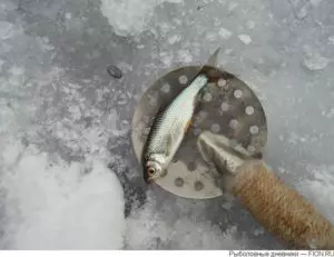 Рыбалка на иркутском водохранилище летом