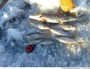 Рыбалка на иркутском водохранилище летом