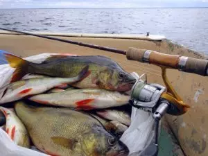 Рыбалка на ладоге в октябре